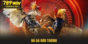 da-ga-don-thomo